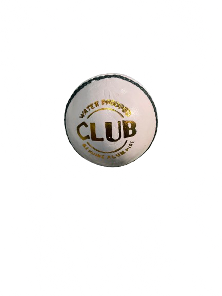 SportskaRt Club White Ball
