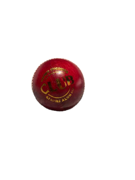 SportskaRt Club Red Ball